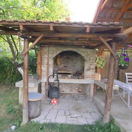 Sunny Garden